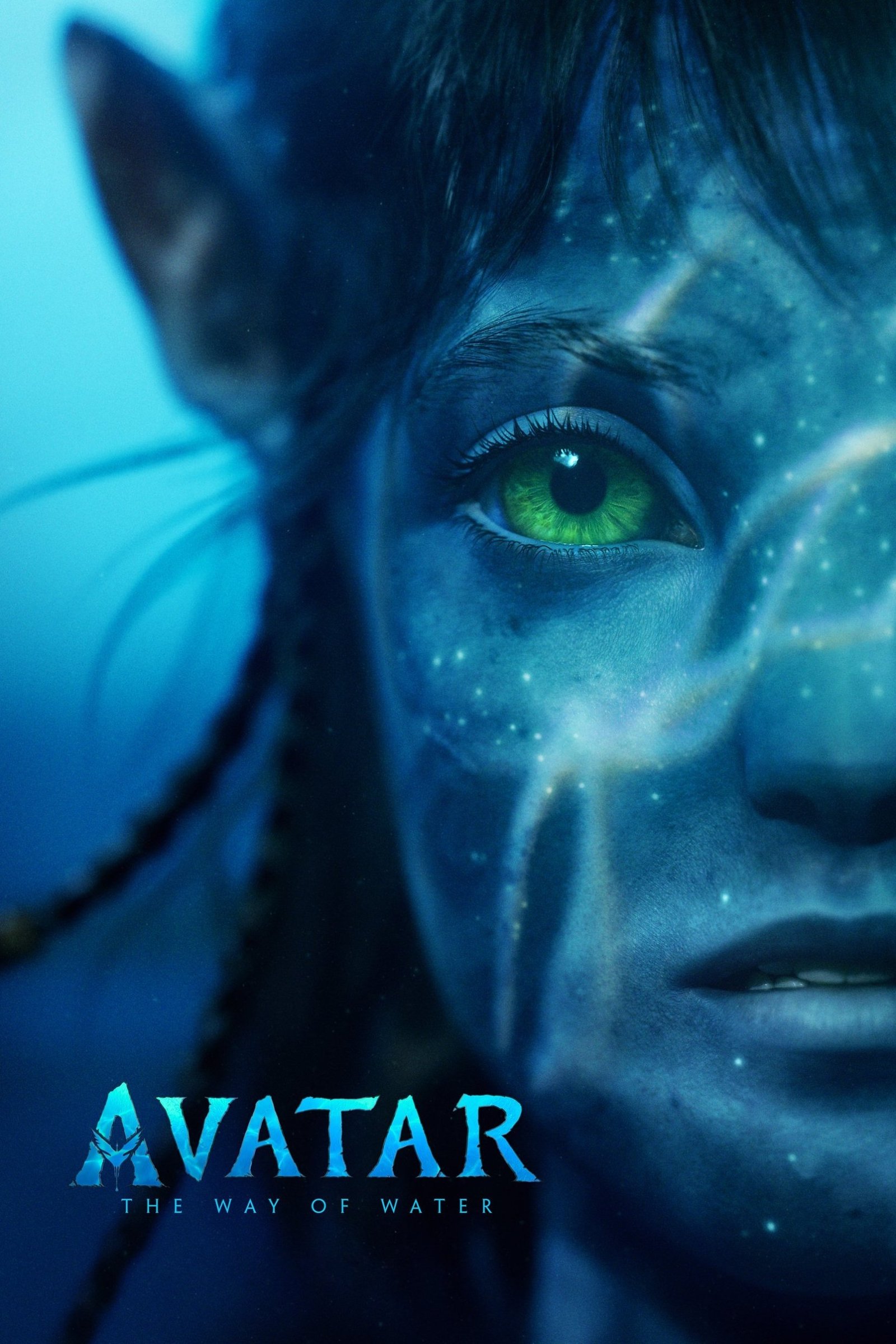 Avatar: Put vode
